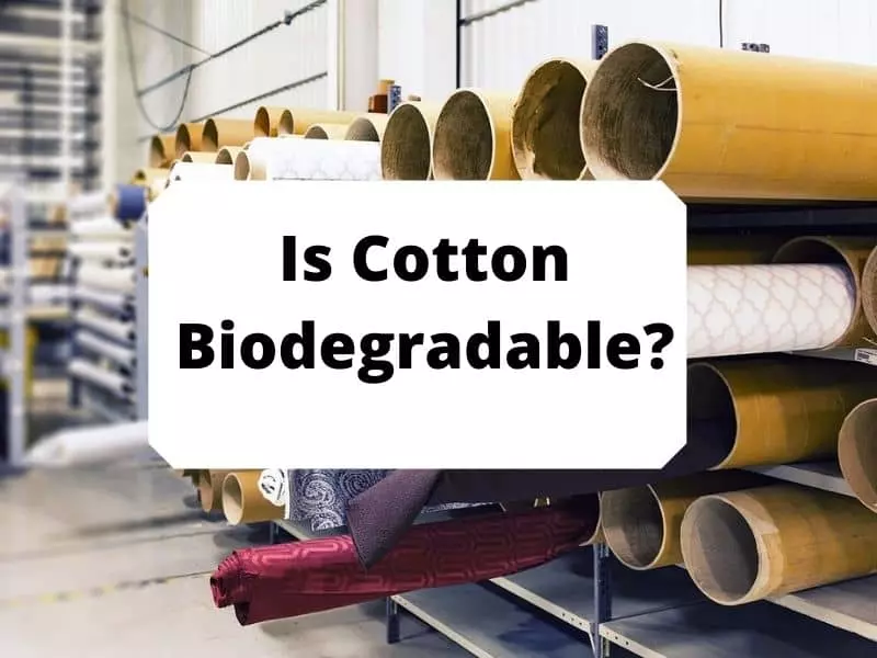Is Cotton Biodegradable