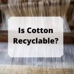 Is Cotton Recyclable