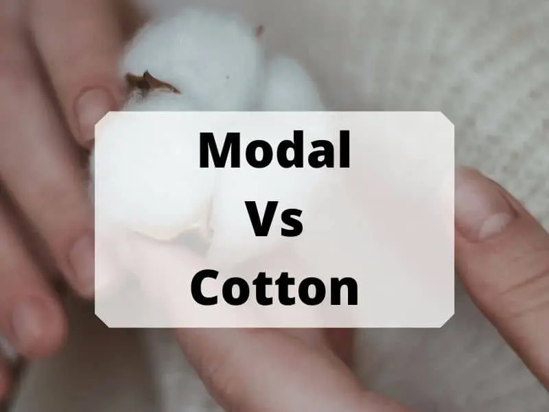 Modal Vs Cotton