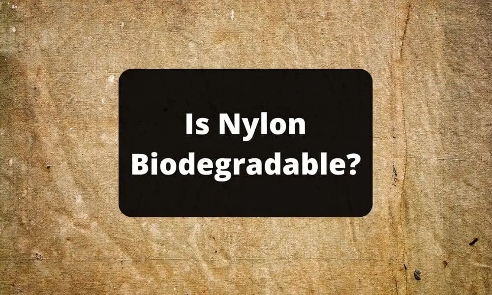 Is Nylon Biodegradable