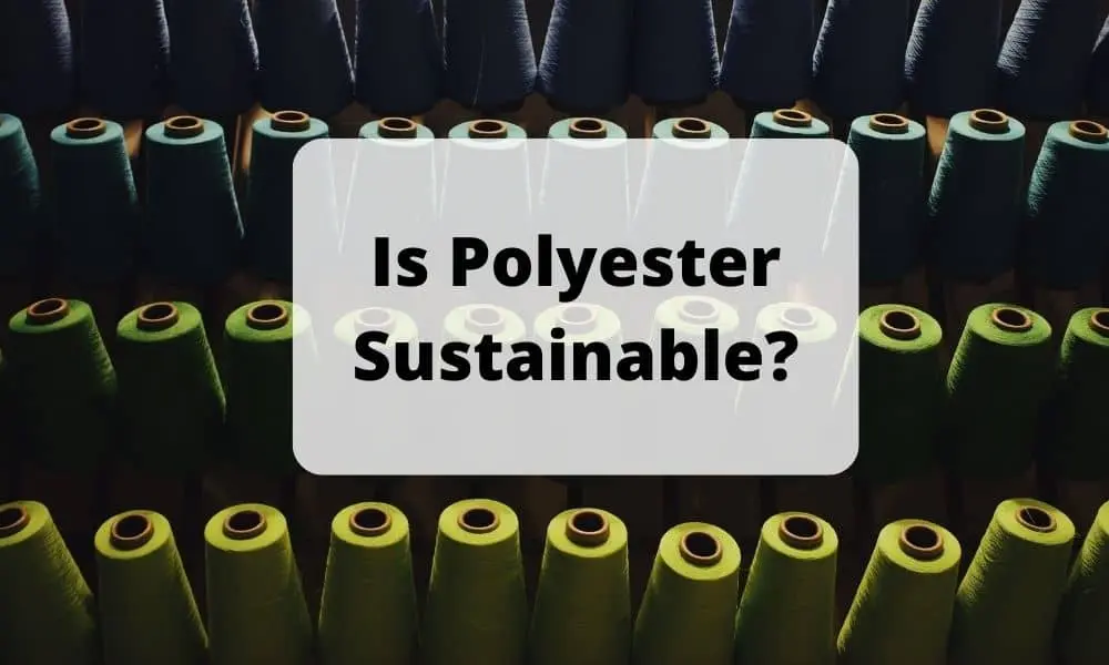Is Polyester Sustainable